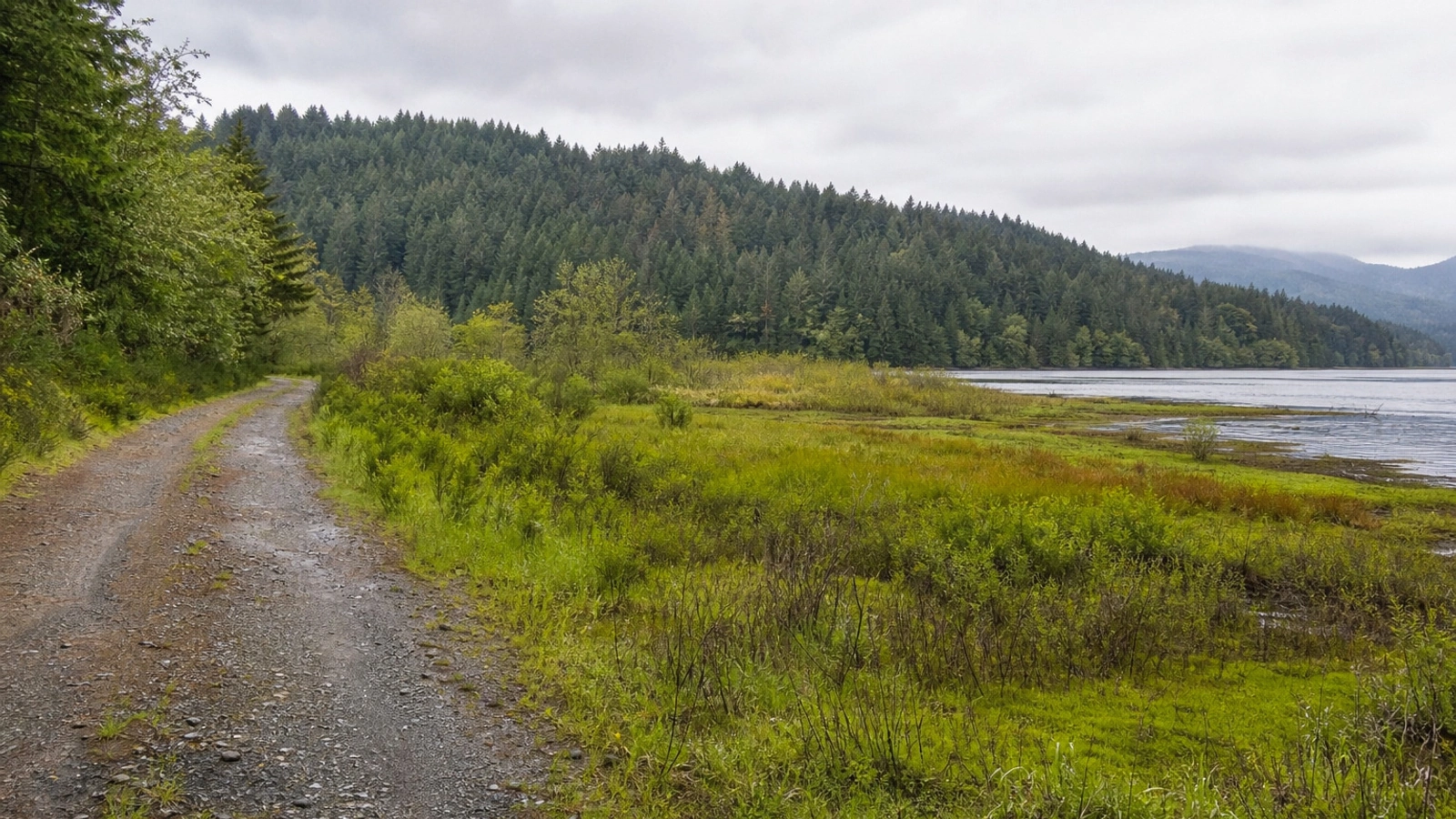 Open Washington land access road near Bellevue