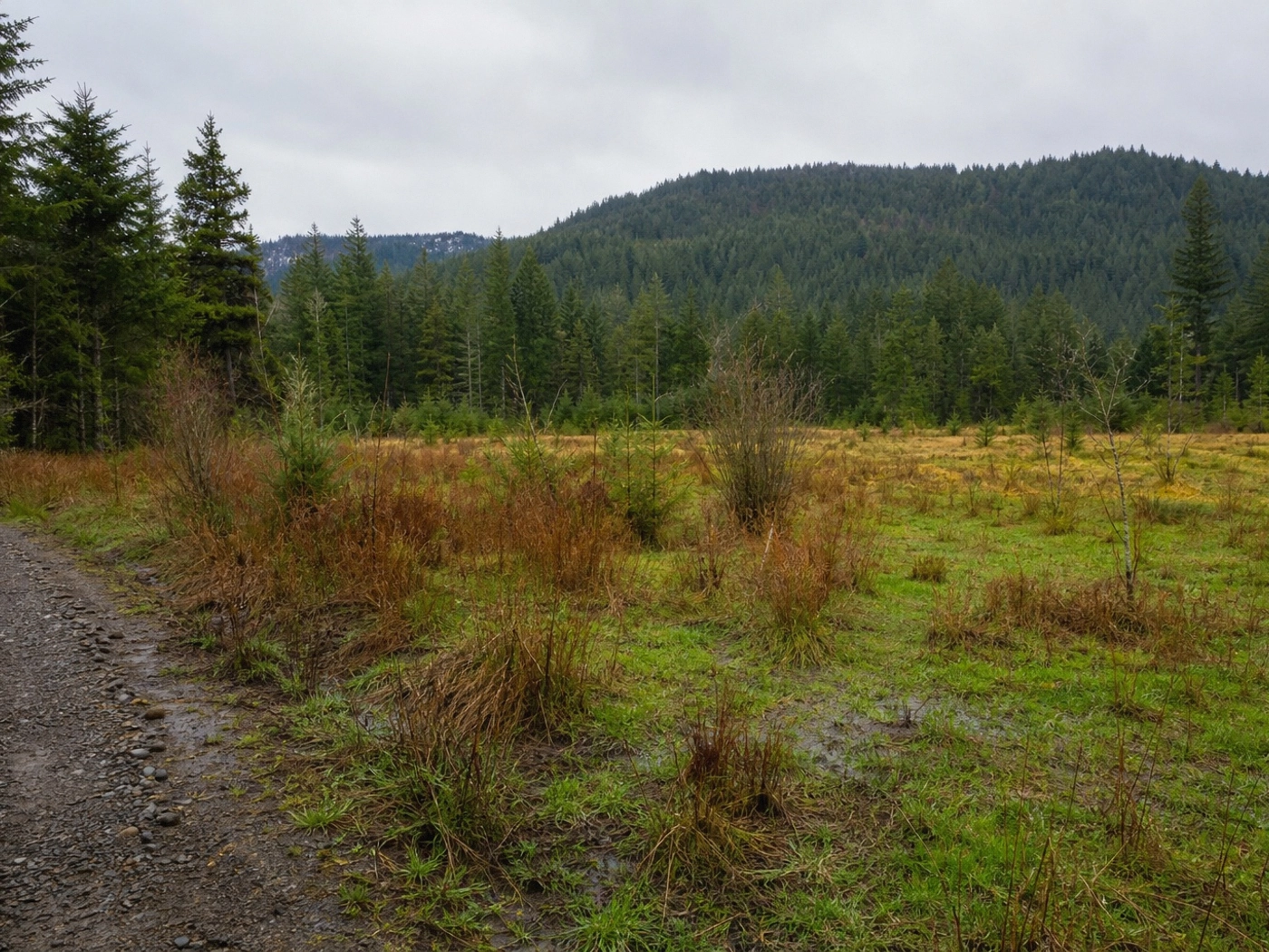 Timber Acreage in Kent